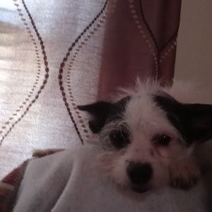 Meet your Posher, Ann